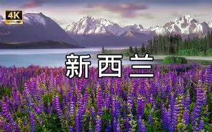 美高梅官方网站-今夜西甲传出新动向，犹他爵士门线救险，管理层表态——底气十足，球队文化再被提及