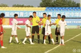 澳门美高梅官方-上海海港俱乐部官网首页